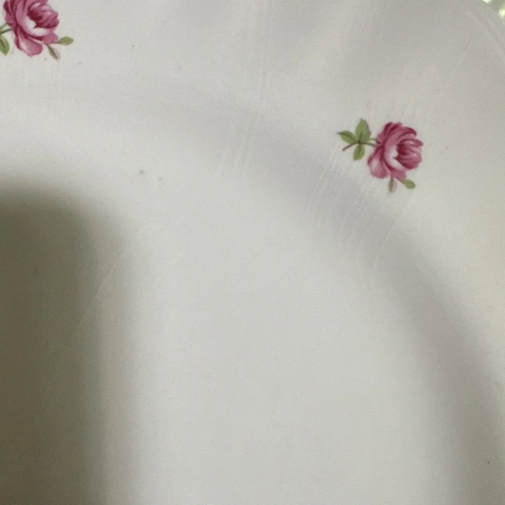 J&G Meakin England SOL 394413 White Floral Pink Rose Round Plate 10